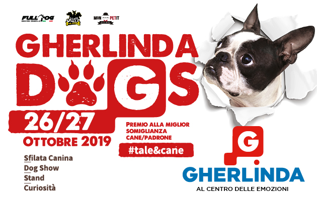 Gherlinda Dogs – 2019