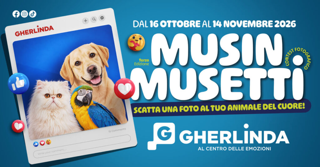 musin musetti 2026